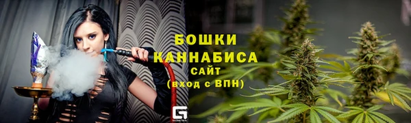 сатива Горняк
