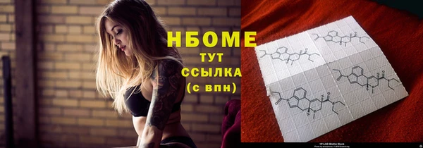 сатива Горняк