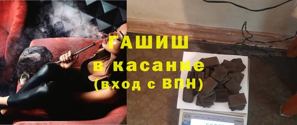 сатива Горняк