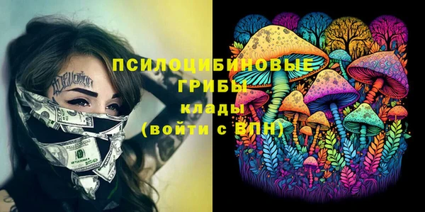 сатива Горняк