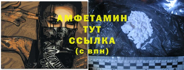 сатива Горняк