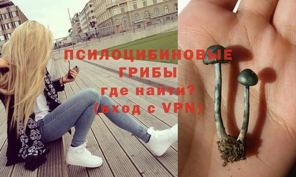 mix Гусь-Хрустальный