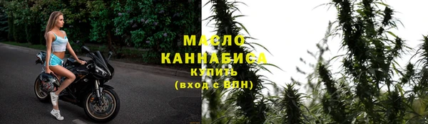 сатива Горняк