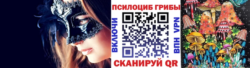 Купить закладки  Костерёво  Псилоцибиновые грибы ЛСД 